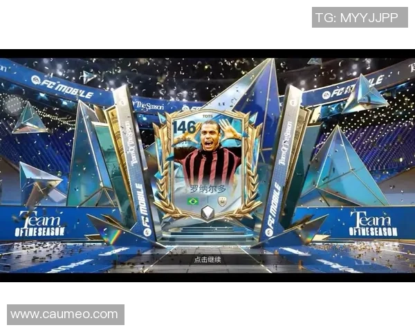 聚焦绿茵赛场核心探讨世界知名足球中锋球星的辉煌历程 聚焦绿茵赛场核心探讨世界知名足球中锋球星的辉煌历程