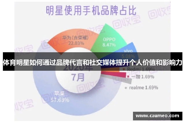 体育明星如何通过品牌代言和社交媒体提升个人价值和影响力
