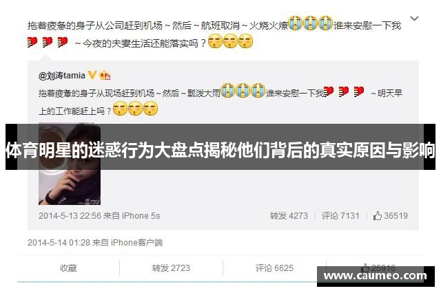 体育明星的迷惑行为大盘点揭秘他们背后的真实原因与影响