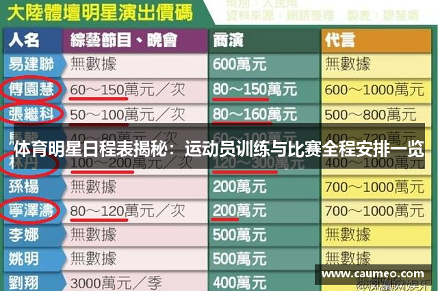 体育明星日程表揭秘：运动员训练与比赛全程安排一览