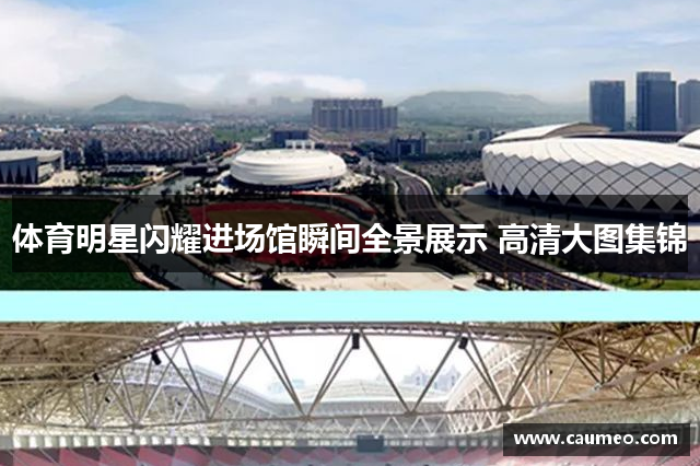 体育明星闪耀进场馆瞬间全景展示 高清大图集锦