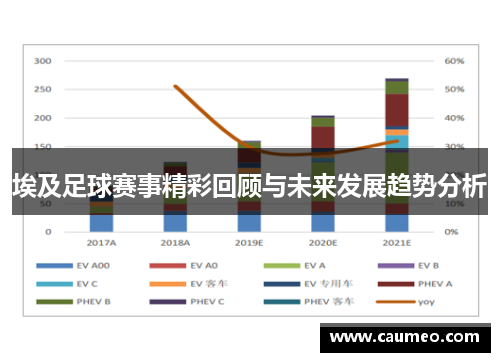 埃及足球赛事精彩回顾与未来发展趋势分析