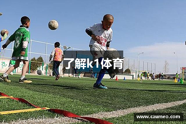 了解k1体育